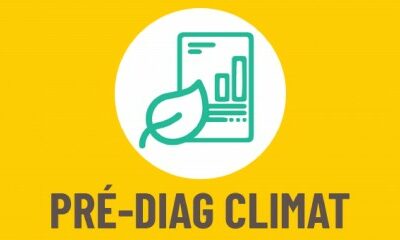 Évaluer l’impact environnemental d’un projet de création