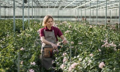 Activités agricoles exonérées de CFE : à condition que l’activité soit agricole !