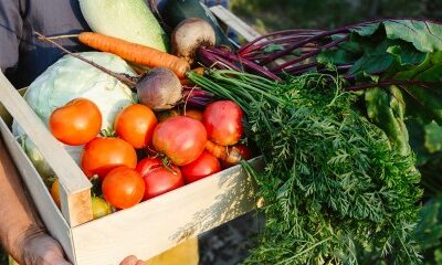 Exercice d’une activité commerciale accessoire par une société agricole : du nouveau !
