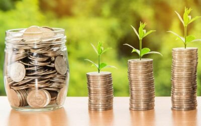 L’activité des SOCAMA en 2021