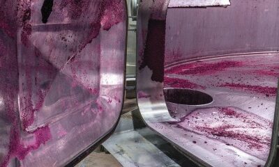 Viticulture : allègement des obligations relatives à la distillation